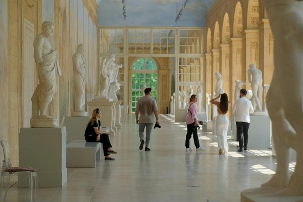 L'Envoûtante Histoire du Vin sur le Sol Français : Voyage au Coeur des Vignobles