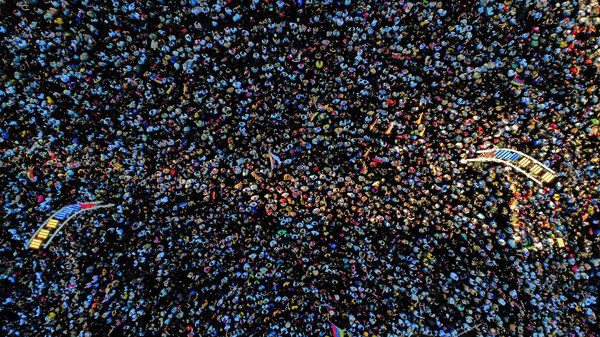 L'excellence des animaleries en ligne : votre guide essentiel